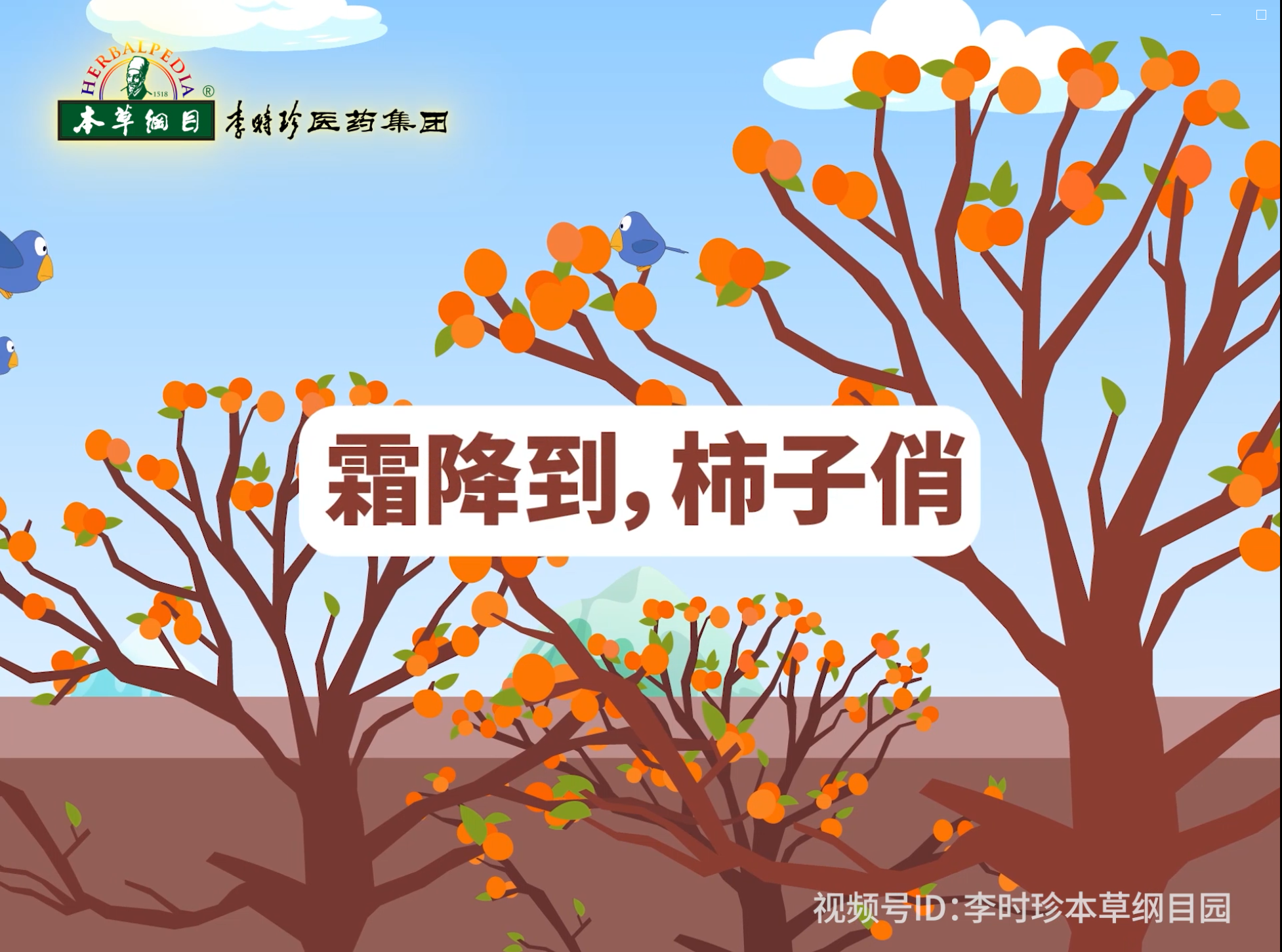 霜降到，柿子俏
