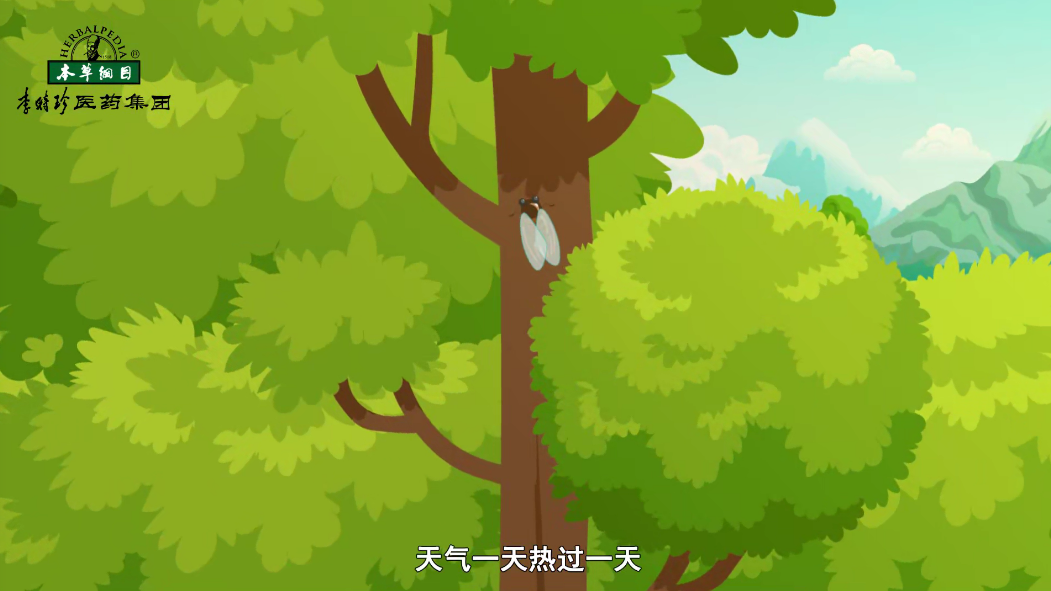 小暑節(jié)氣，濕熱多汗，記得多喝水