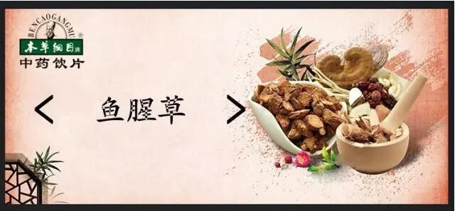 【本草道地藥材賞析】清熱解毒-魚(yú)腥草