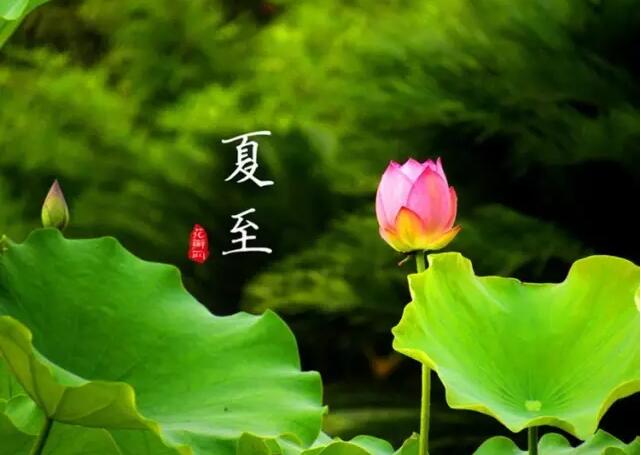 【二十四節(jié)氣養(yǎng)生篇】夏至：多食苦，靜養(yǎng)心