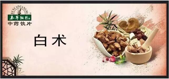 【本草道地藥材賞析】健脾益氣，燥濕利水-白術(shù)