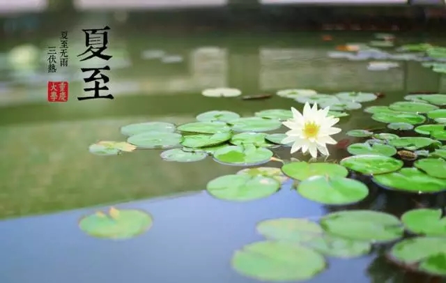 【二十四節(jié)氣養(yǎng)生篇】夏至：夏季清補，冬病夏“治”